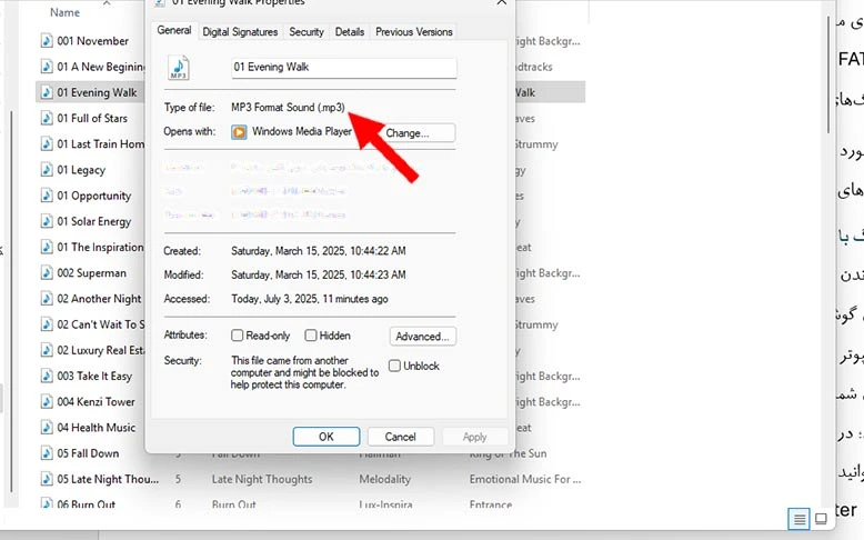 نوع فایل صوتی